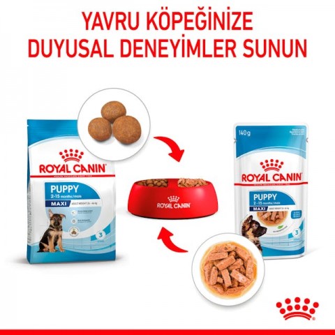 Royal Canin Maxi Puppy Büyük Irk Yavru Köpekler İçin Parça Etli Konserve Yaş Mama Pouch 140 Gr
