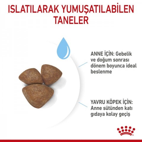 Royal Canin Mini Starter Küçük Irk Anne ve Yavru Köpek Maması 4 Kg