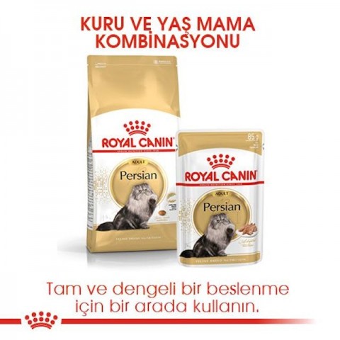 Royal Canin Persian Adult Yetişkin İran Kedi Maması 10 Kg