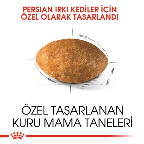 Royal Canin Persian Adult Yetişkin İran Kedi Maması 2 Kg