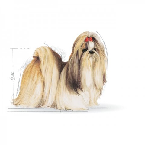 Royal Canin Shih Tzu Adult Yetişkin Köpek Maması 1,5 Kg