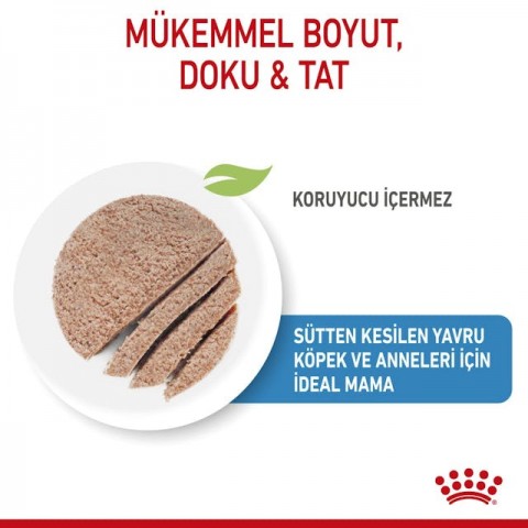 Royal Canin Starter Mousse Anne ve Yavru Köpek Konserve Maması 195 Gr