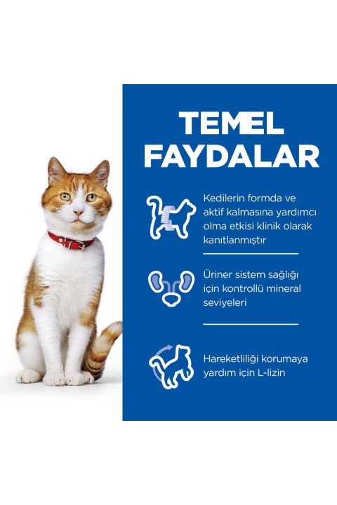 Scıence Plan Somonlu Kısırlaştırılmış Yetişkin Kedi Maması 3 Kg