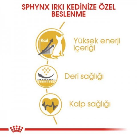 Royal Canin Sphynx Adult Tüysüz Yetişkin Kedi Maması 2 Kg
